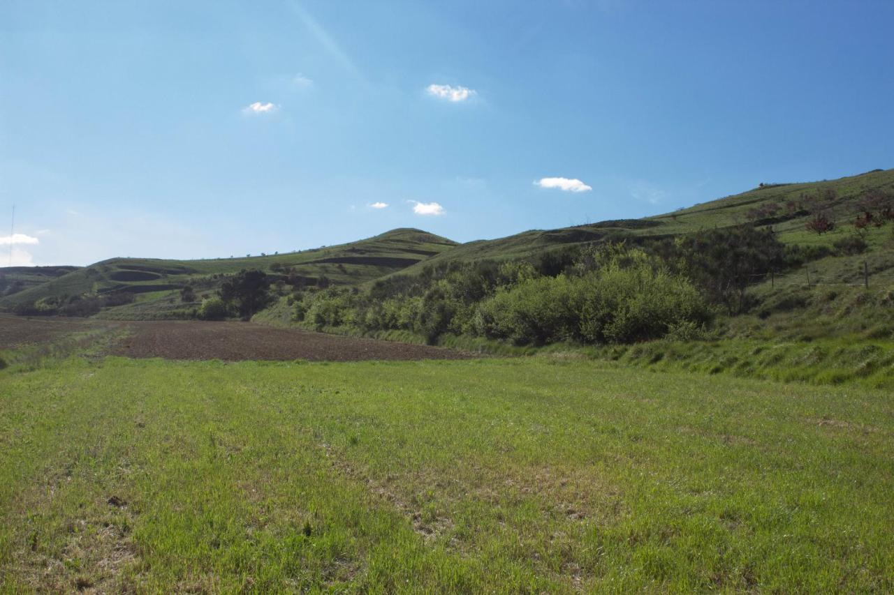 Ma Caravane Dans Les Collines Villeneuve-la-Comptal Экстерьер фото